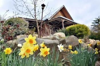 Country Charm - Swiss Cottages