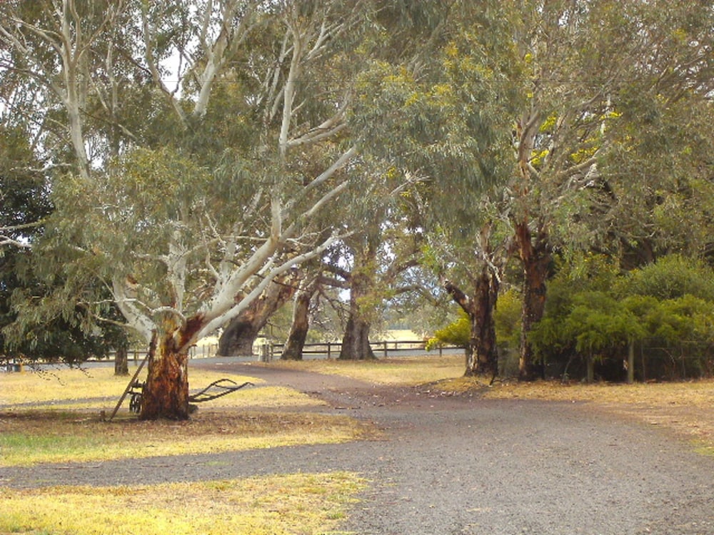 Grampians Historic Tobacco Kiln B & B