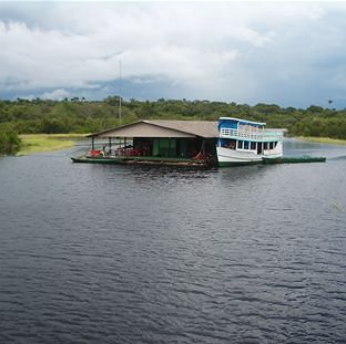 Manaus Jungle Hostel