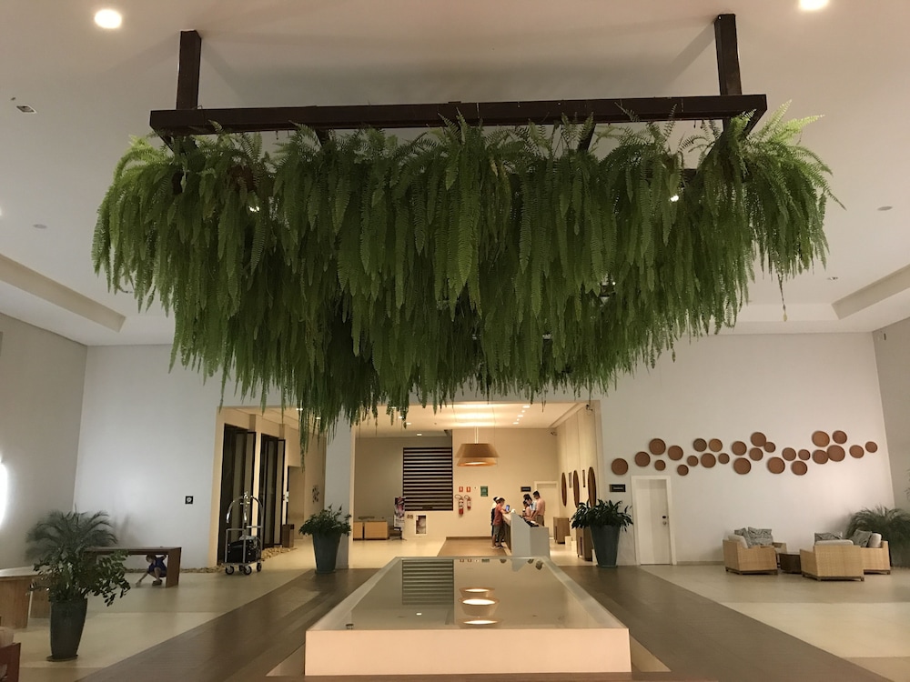 Original Trips - Hotel Cristal