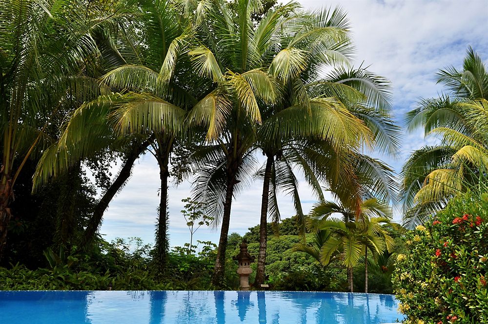 Hotel Cuna del Angel - Dominical Costa Rica - Playa Hermosa