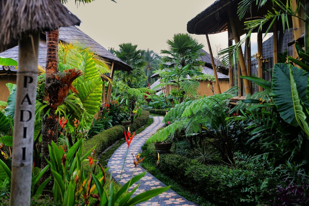 Padi Bali Eco Villas