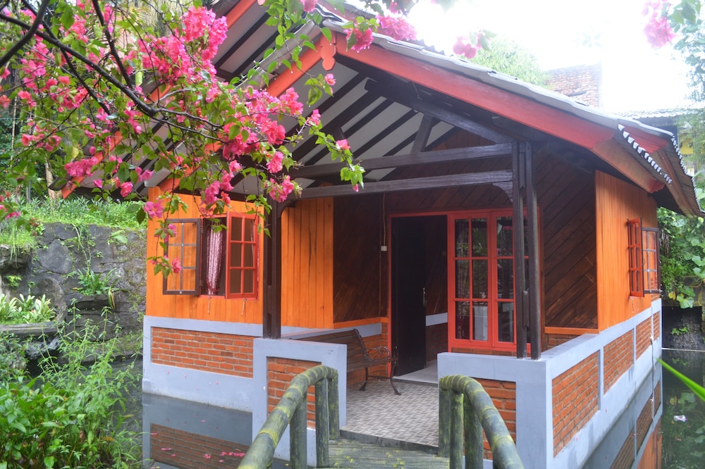 Villa Aquarius Orange