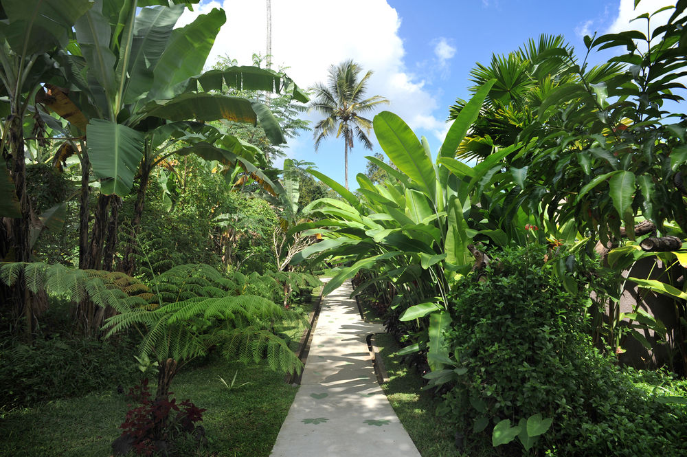 Airy Ubud Banjar Pengiyahan Payangan Gianyar Bali