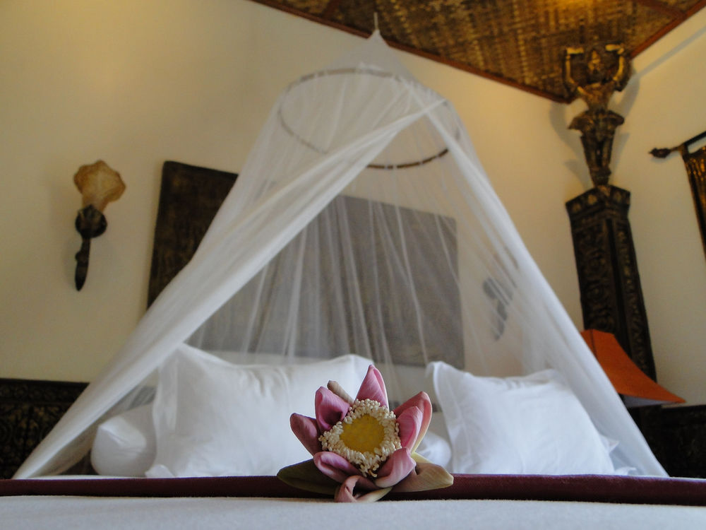 Bopha Siem Reap Boutique Hotel