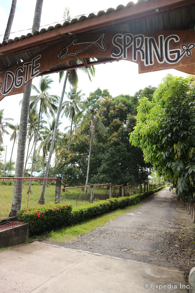 Dumaguete Springs Beach Resort