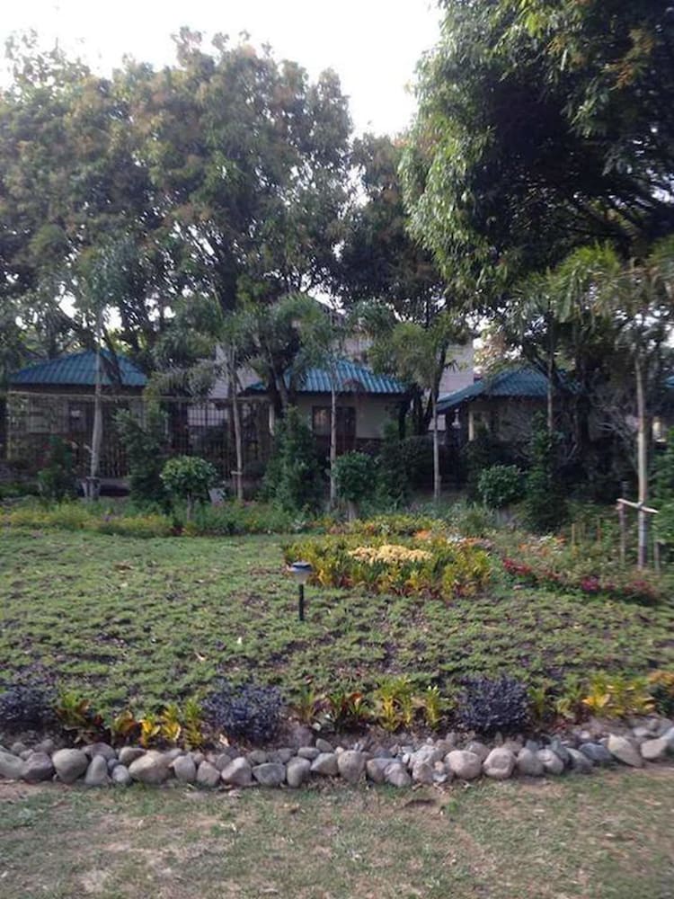 Villa Aden Organic Resort photo 3