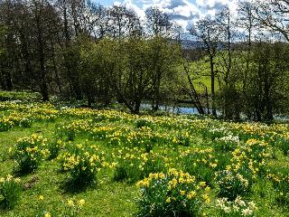 Rudby Hall photo 38