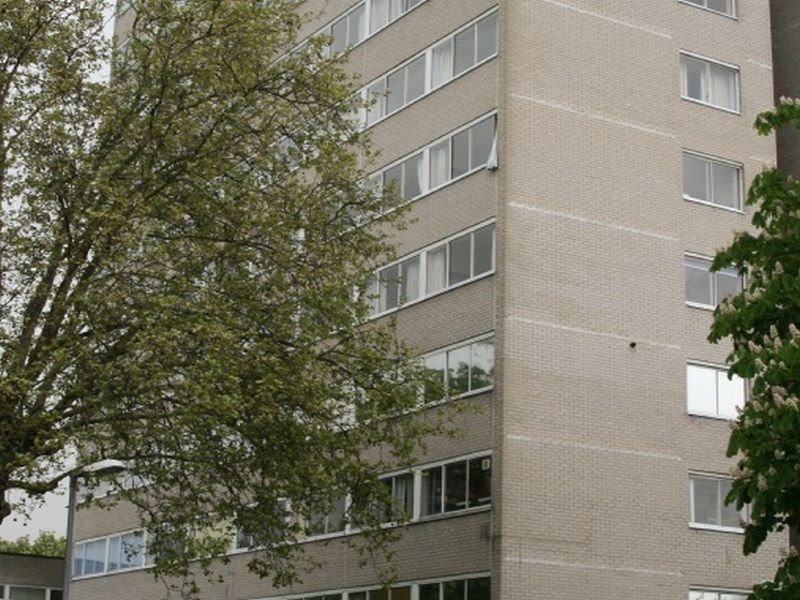 Ingleby House