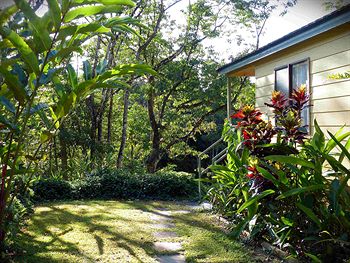 Daintree Valley Haven