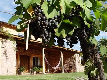 Finca Adalgisa Wine Hotel, Vineyard and Winery