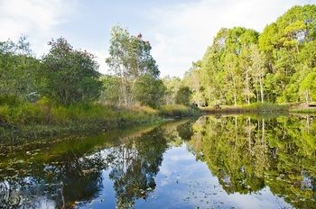 Crabbes Creek Cottages