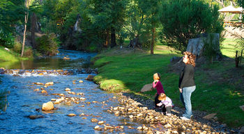 Marysville Caravan Holiday Park