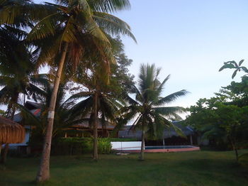 Dacozy Beach Resort